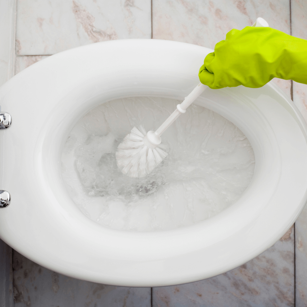 DIY Toilet Cleaner Tablet